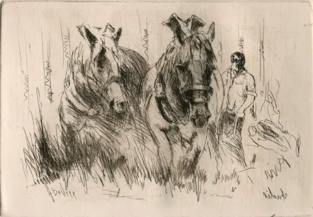 Etsen en aquarellen kopen van de Belgische kunstenaar Albert De Vree