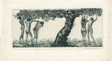 Kolb Alois 