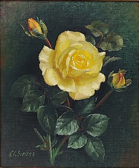 Sielens Clément 