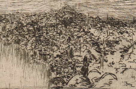 Bauer Marius 