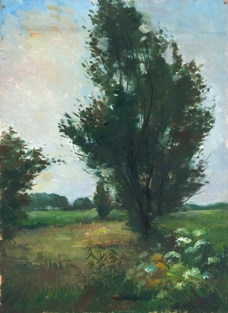 Nederlandse kunstschilder Steef Wijnhoven