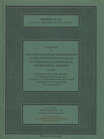 917. Fine drawings from the sixteenth to the twentieth century of ornithological, zoological and botanical interest