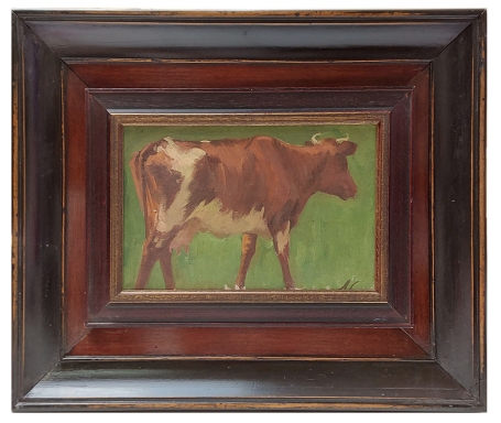 Een studie van een bruin-witte koe