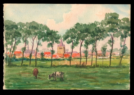 Grazende koeien in de weide