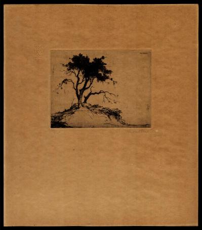 Dennenheuvel 1924