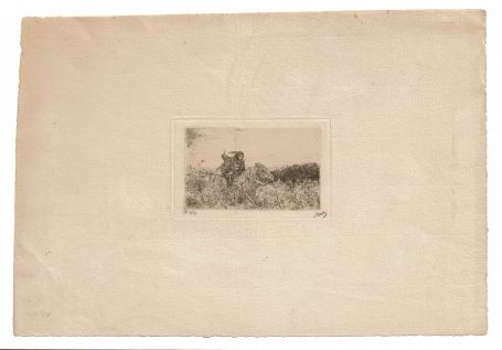 Ruiter 1897