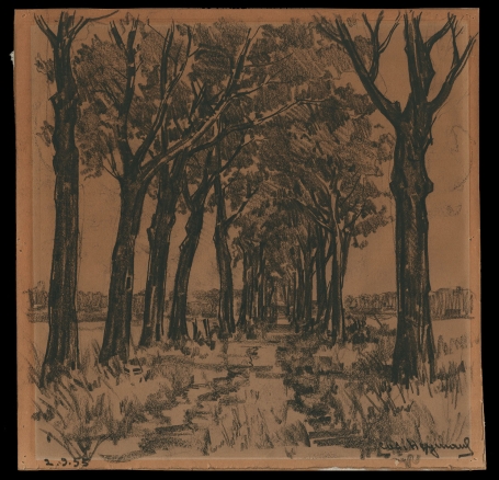 Houtskooltekening, Weg tussen de bomen 1955