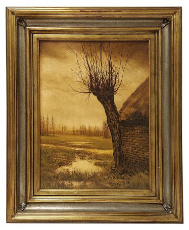 Knotwilg naast de schuur 1981