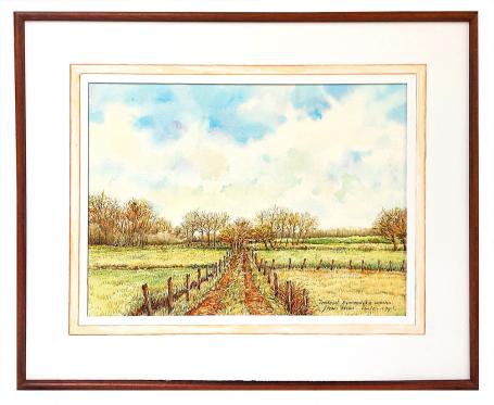 Zennegat - Binnendijkse weiden - Lente - 1993