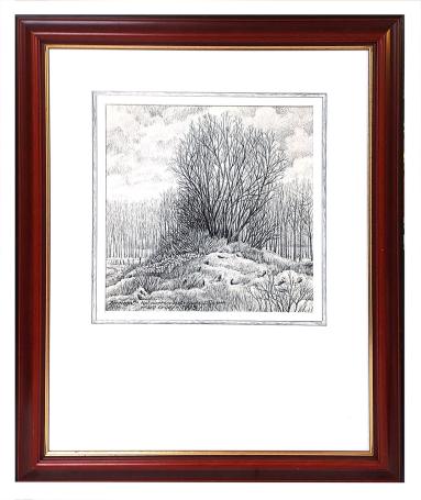 Zennegat - Natuurreservaat Oude Dijlearm 1995