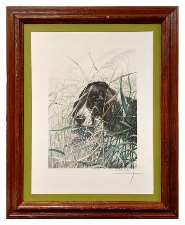 Zwart-witte spaniël met watersnip