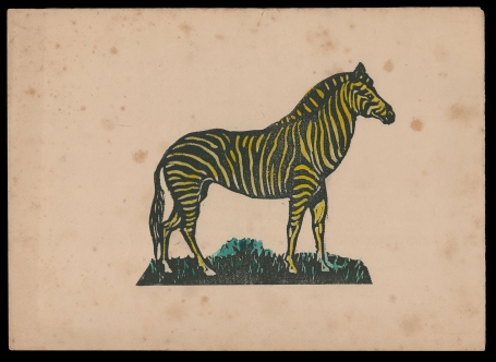 Ingekleurde houtsnede zebra met geel (+/- 1910)