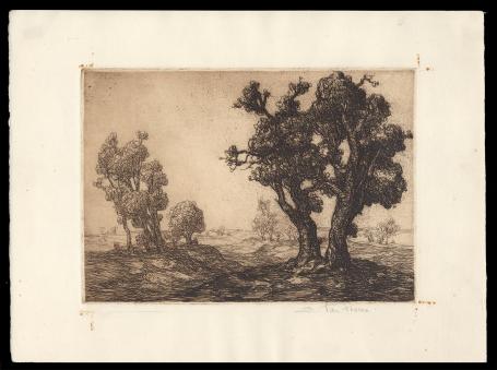 Ets Grillige boom in een landschap