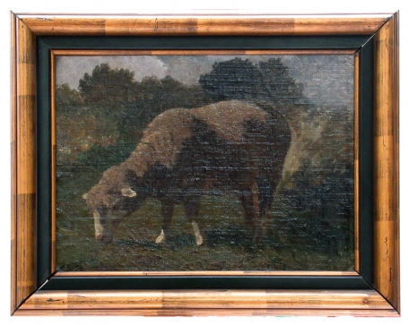 éénzaam schaapje in het gras