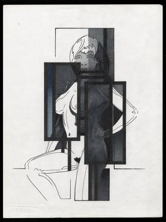 Staande uitdagende schaduwdame 040587