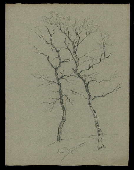 Blad, schets voor en achter, Berkenbomen