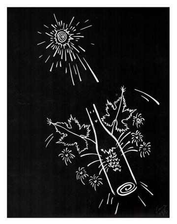 Druivebloed, Sprankelende fles 14/50