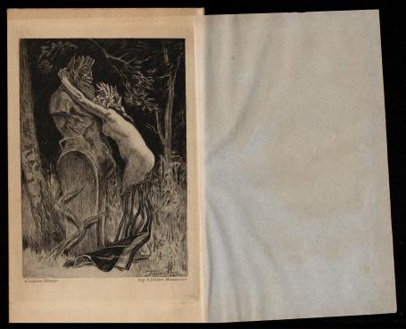 Curieuse Exsteens 504 1886