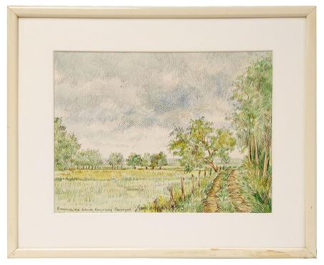 Binnendijkse weide landweg Zennegat 1993