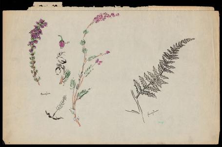 Schets 184 (1911-1918)