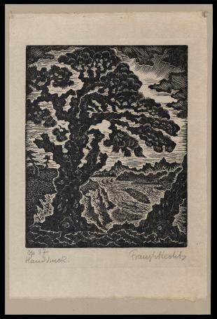 Traumbaum am Wasser ap 37