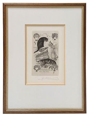 Indien we het jaar 1959 eens bekeken gelijk mijn poezen