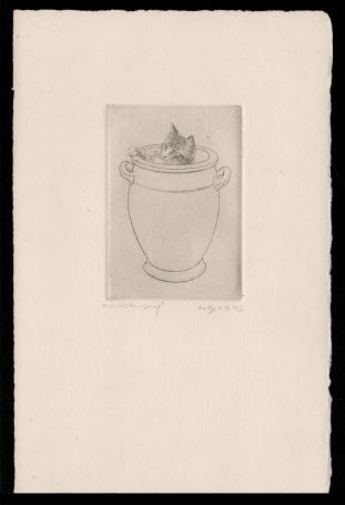 Het katje in de pot AP