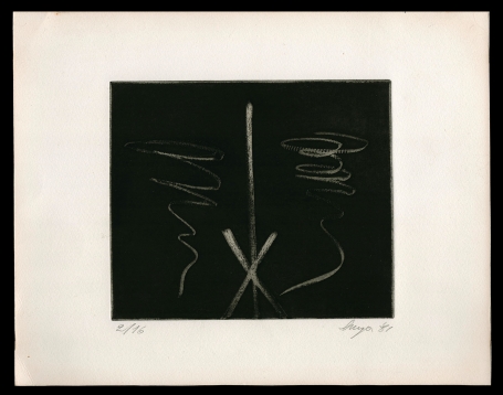 Spiegeling Hugo 1981 2/16