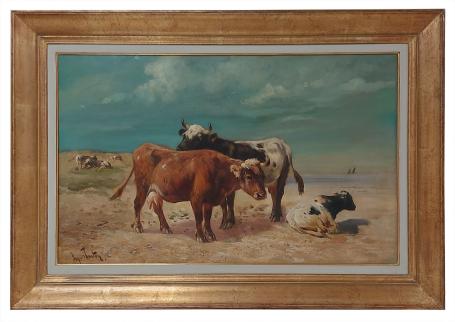 Runderen in de weide