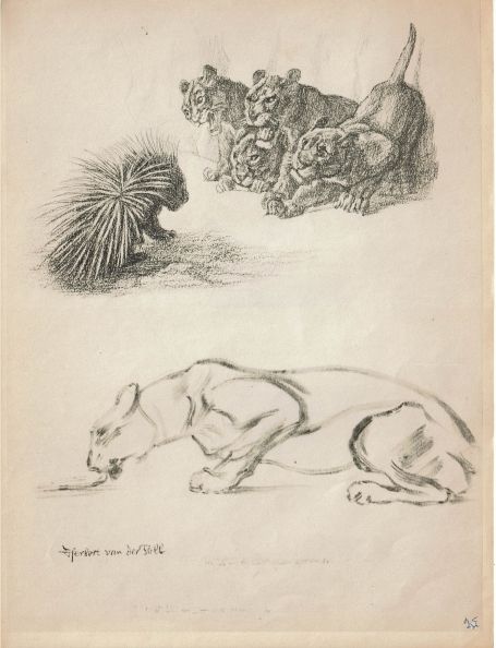 Dierenstudie gemonogrameerd