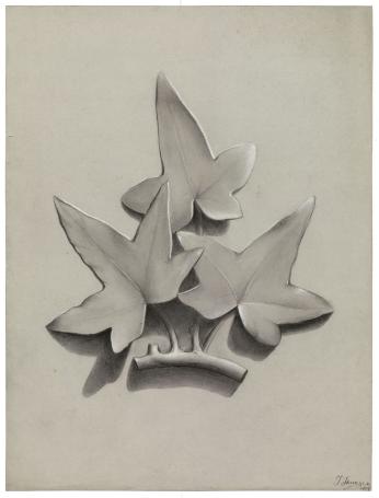 Schets Klimopbladeren 1884