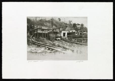 Igarapé Manaus V 5/15