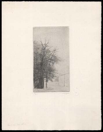 Bomen, Die Hoek 5/65