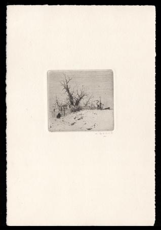 Aan 't Kiel woeste boom met stoomboot op de Schelde