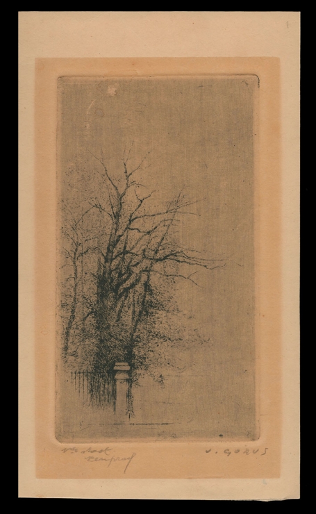 Droge naald, poort en bomen 1ste staat proef