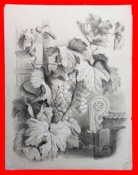 Wijnrank met druiven 1911