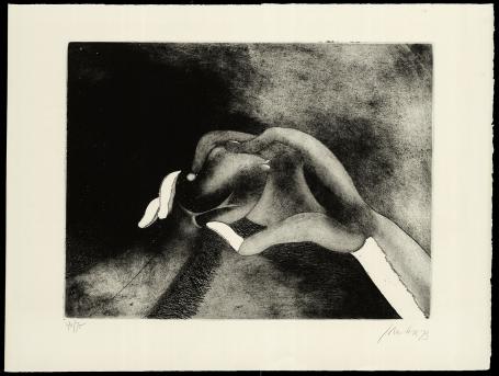 De hand 1973  40/75