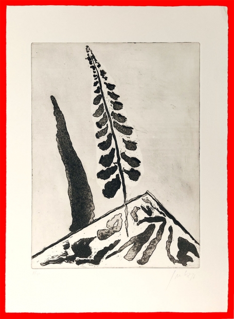 Marmer en Pluim 1976 9/40