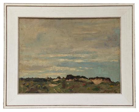 De duinen te Sint-Idesbald