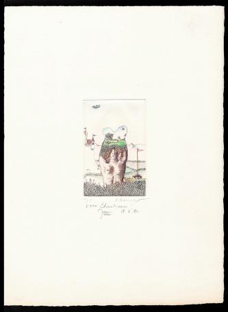 Opgehoogde ets, de ontkleding 1980 12/15