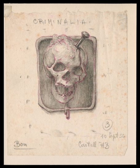 Drawing Criminalia 10 sept 1954