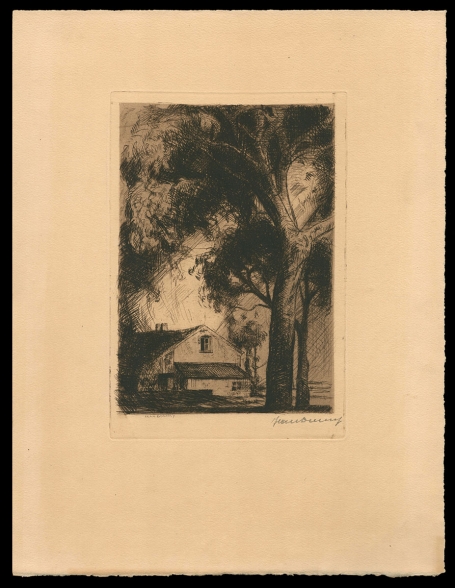 Landhuis met grote boom