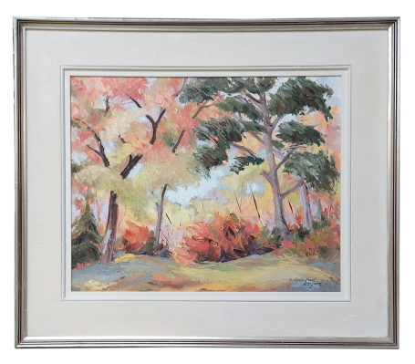 Sous bois en automne