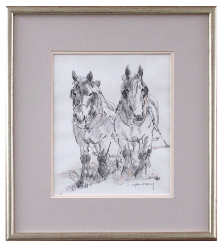 Twee kloeke Brabantse trekpaarden