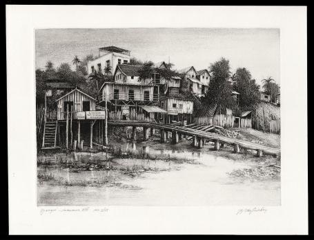 Igarapé Manaus VIII   nr 3/15