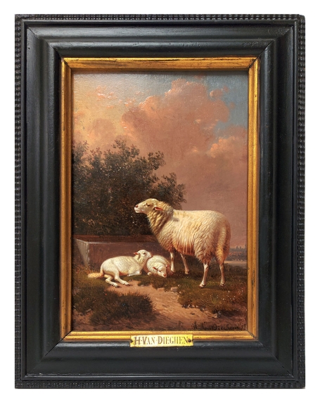 Schapen, Ooi en haar twee lammeren aan de drinkbak