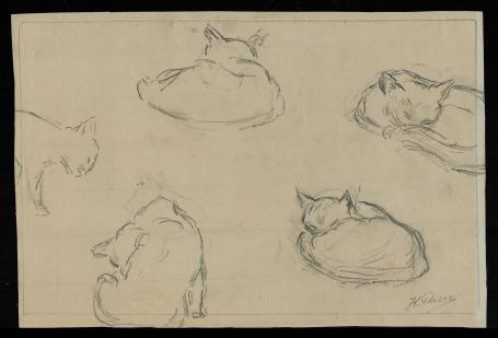 Kurt Peiser met een schets van poesjes of katten