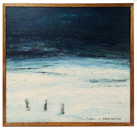 Desolaat winterlandschap
