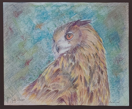 Een potloodtekening van Jaky Lefrançois  kopen