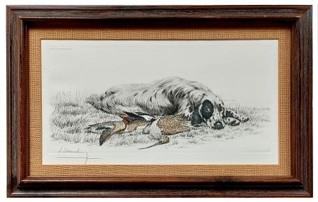 Engelse setter Laverack met wild